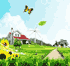 Nature - Summer